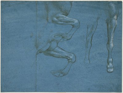 Studies of the forelimbs of the horse, c. 1490 by Leonardo da Vinci